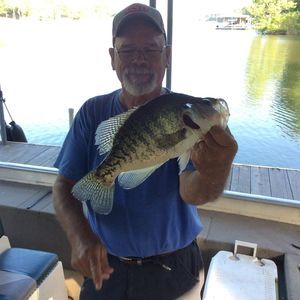 Meet your Posher, Kent